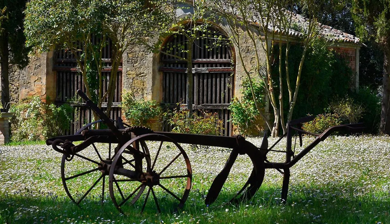 Farm stay Country Loft At Palazzo Di Bagnaia Villa Castel del Piano  Italy