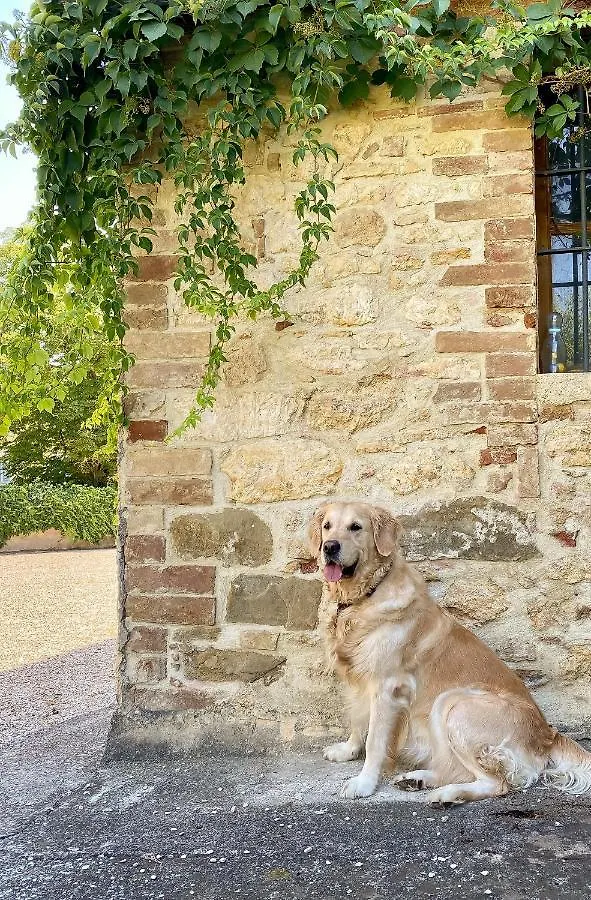 Country Loft At Palazzo Di Bagnaia Villa Castel del Piano  Farm stay Castel del Piano (Perugia)